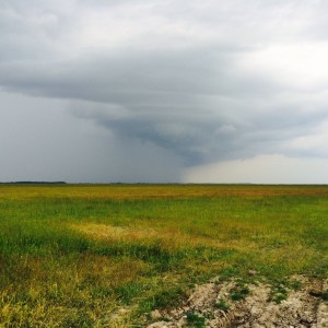 hortobagy